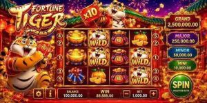 Fortune Tiger 777ABC Game Zone Modern Play Online Access